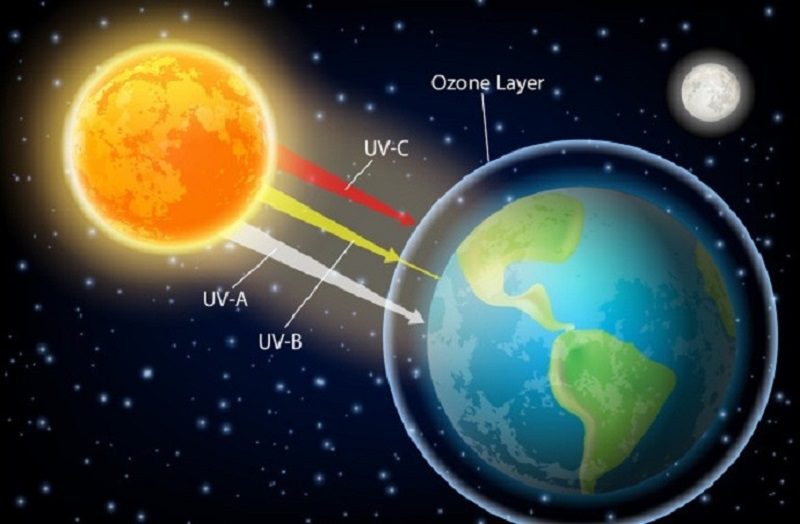 Vai Trò Của Tầng Ozon - 4.2 Các hành động cá nhân và doanh nghiệp