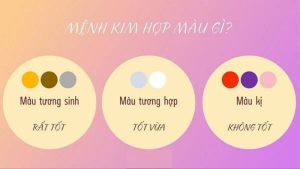 Mệnh Kim Hợp Màu Gì 2026? 5 Màu Sắc Thu Hút Tài Lộc, May Mắn