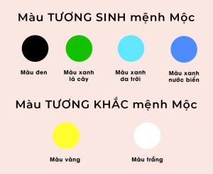 Mệnh Mộc Hợp Màu Gì 2026? Top 5 Màu Sắc Kích Hoạt May Mắn