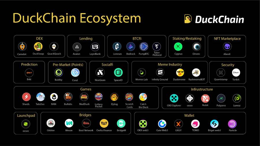 Duckchain là gì - Khái niệm và bối cảnh ra đời