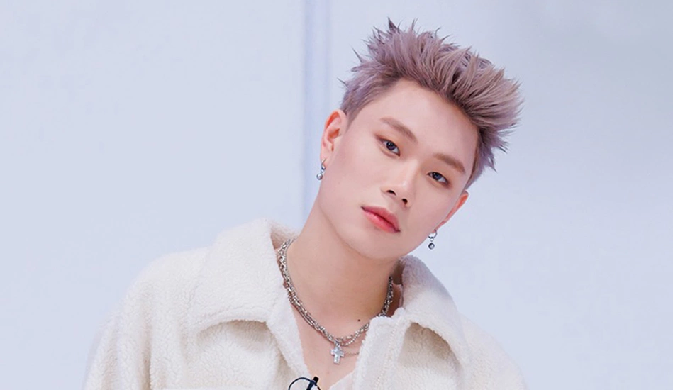 Dương domic là ai - Những chương trình âm nhạc từng tham gia
