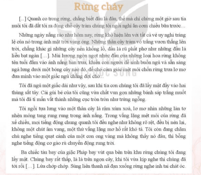 Soạn văn 7 - Lợi ích đối với kỹ năng Ngữ văn