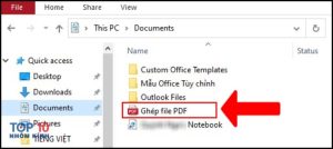 nen-file-pdf-1