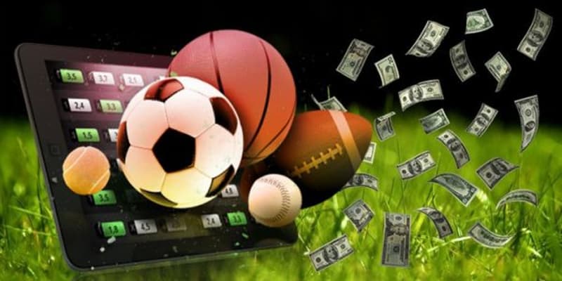 Bộ môn thể thao tại the thao 8xbet