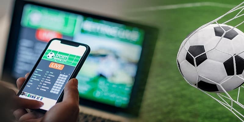 Thông tin cơ bản về kênh thể thao the thao 8xbet