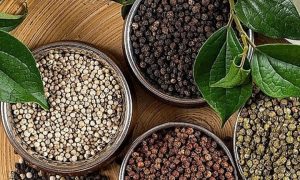 Hồ tiêu trong bữa ăn gia đình Việt – dùng sao cho ngon và tốt cho sức khỏe