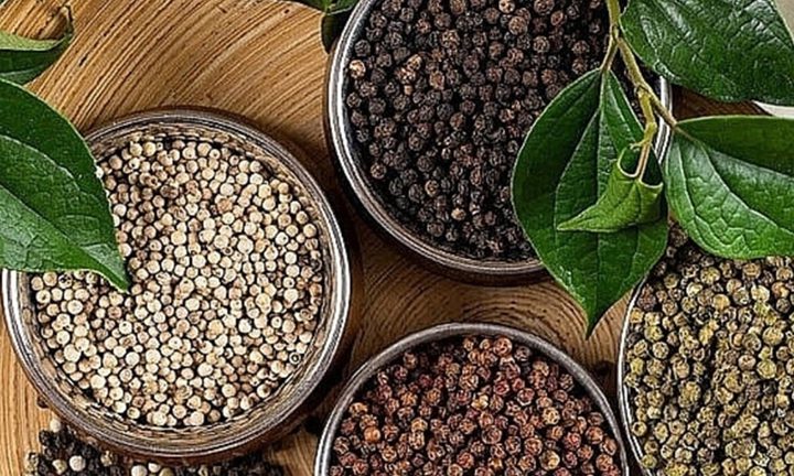 Hồ tiêu trong bữa ăn gia đình Việt – dùng sao cho ngon và tốt cho sức khỏe